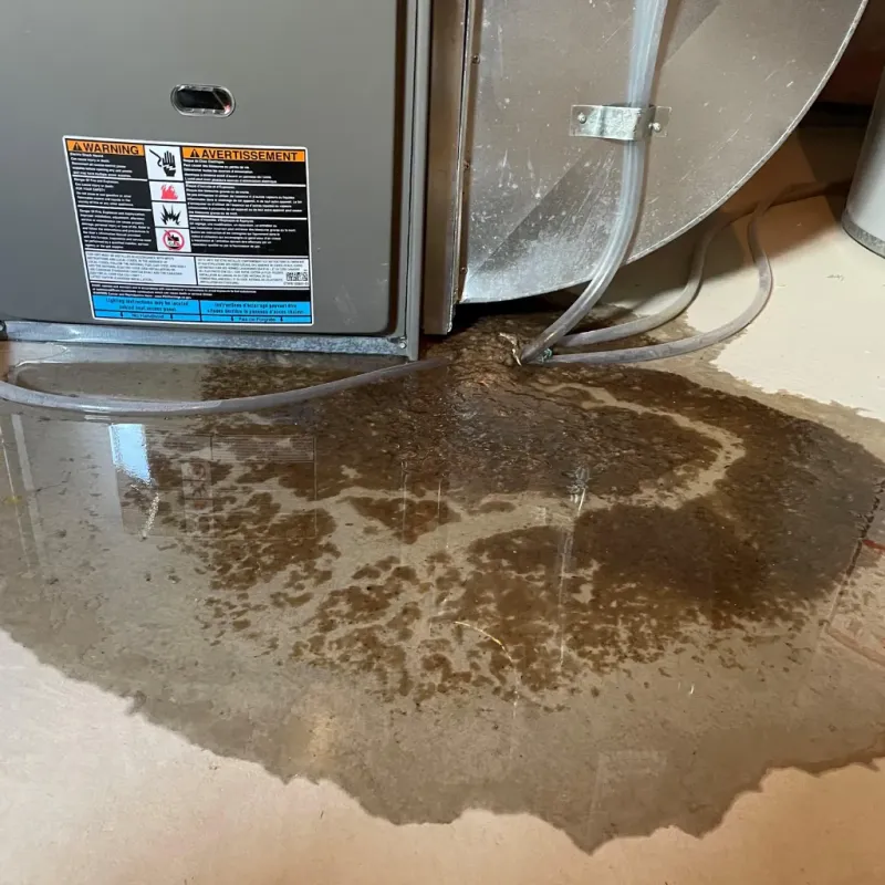 Appliance Leak Cleanup in Lilbourn, MO