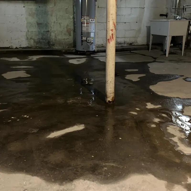 Emergency Water Extraction And Removal in Lilbourn, MO